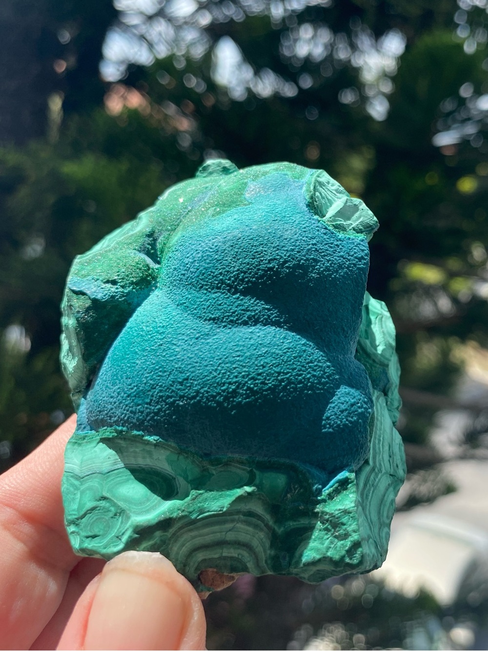 Large Botryoidal Malachite - Picture 5 of 16